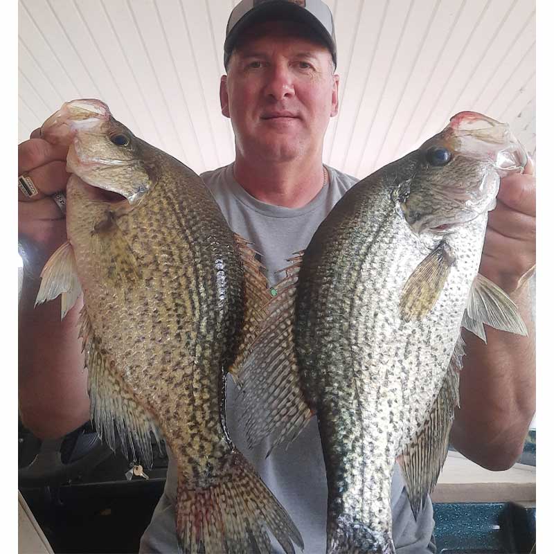 AHQ INSIDER Lake Murray (SC) 2023 Week 42 Fishing Report - Updated October 19