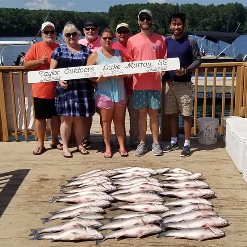 AHQ INSIDER Lake Murray (SC) Summer 2021 Fishing Report - Updated August 5