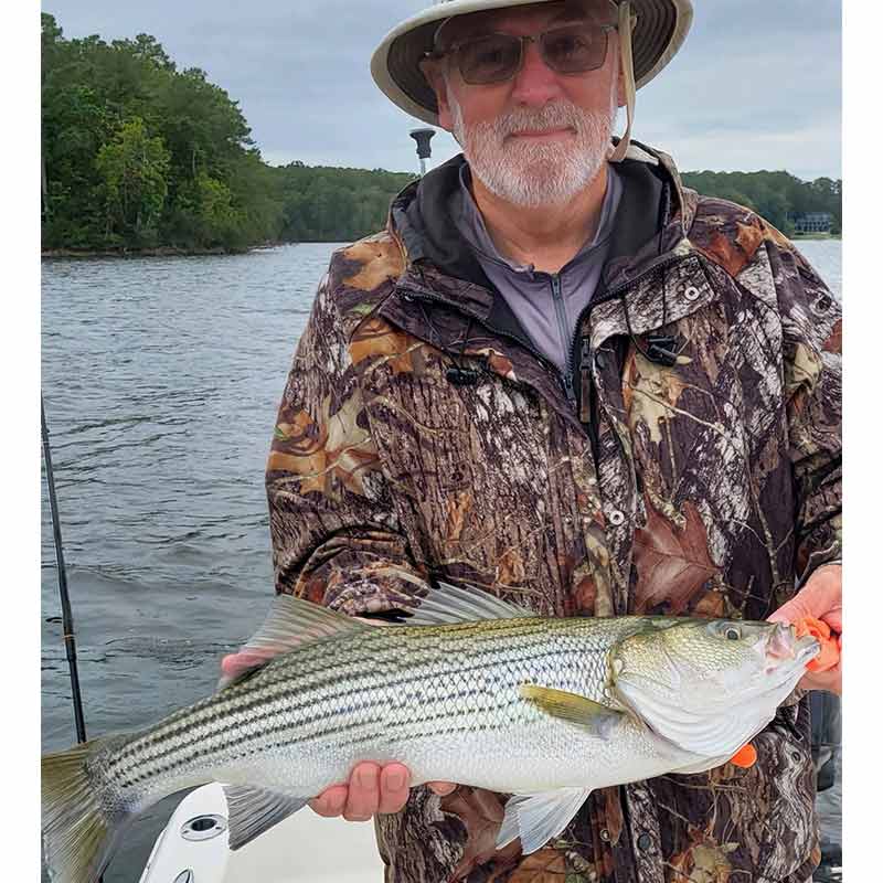 AHQ INSIDER Lake Murray (SC) 2023 Week 41 Fishing Report - Updated October 12