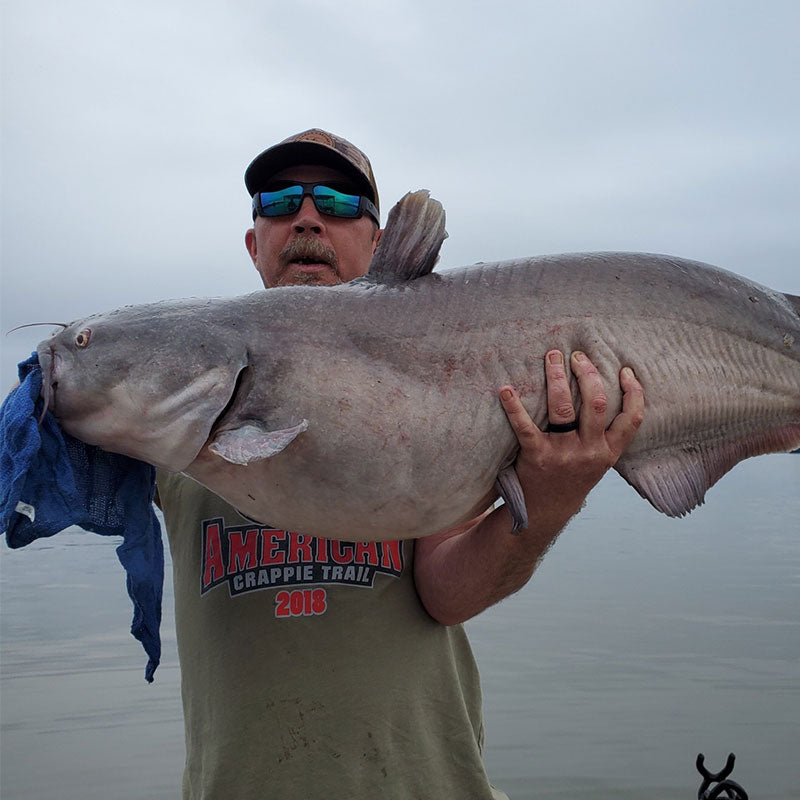 AHQ INSIDER Lake Murray (SC) Spring 2020 Fishing Report - Updated January 15