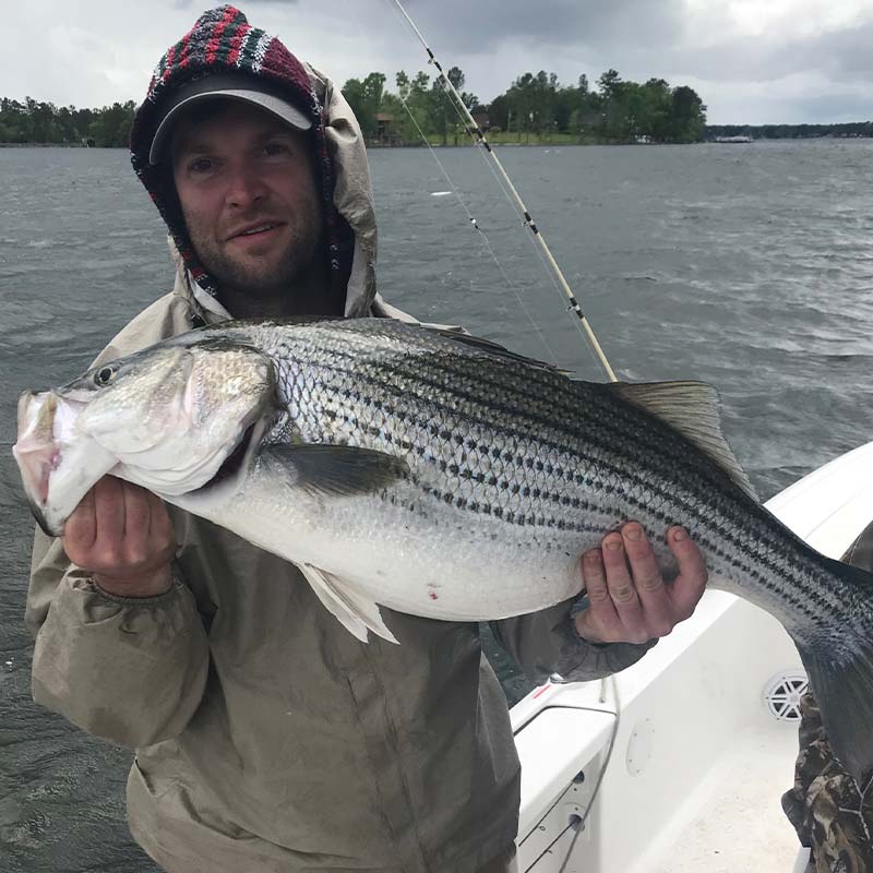 AHQ INSIDER Lake Murray (SC) Fall 2019 Fishing Report - Updated December 24