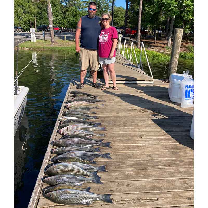 AHQ INSIDER Lake Murray (SC) Summer 2021 Fishing Report - Updated July 29