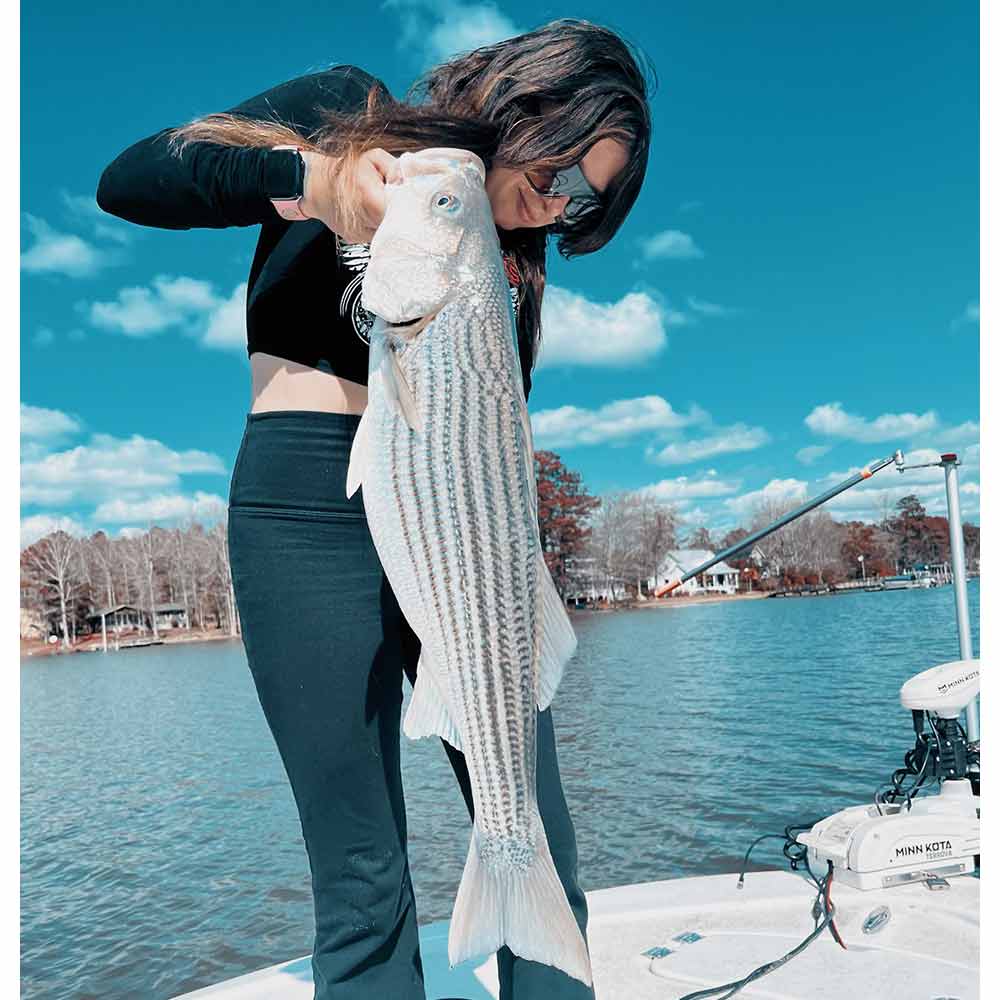 AHQ INSIDER Lake Murray (SC) 2024 Week 13 Fishing Report - Updated March 28