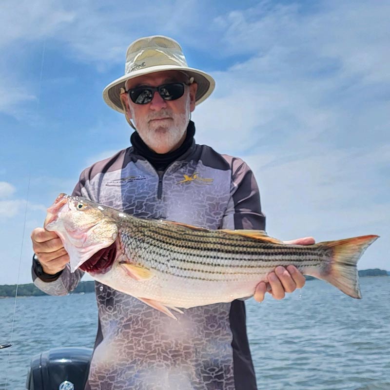 AHQ INSIDER Lake Murray (SC) 2023 Week 22 Fishing Report - Updated June 1