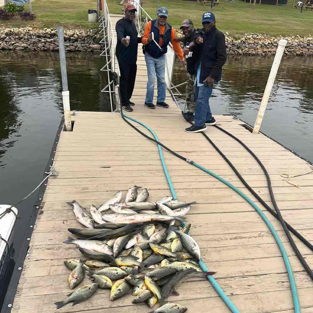 Oh yeah - shellcracker are biting too! - with Captain Brad Taylor 