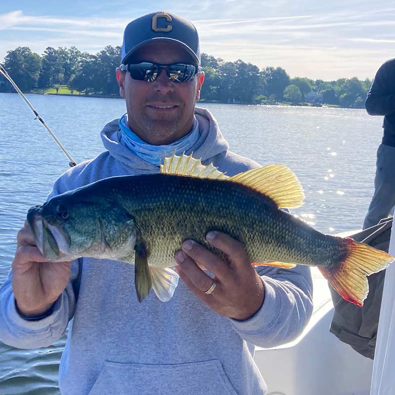 AHQ INSIDER Lake Murray (SC) 2023 Week 26 Fishing Report - Updated June 28