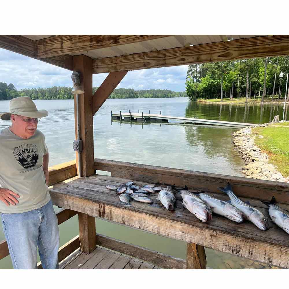 Catching crappie and striper in a morning with Taylor Outdoors 