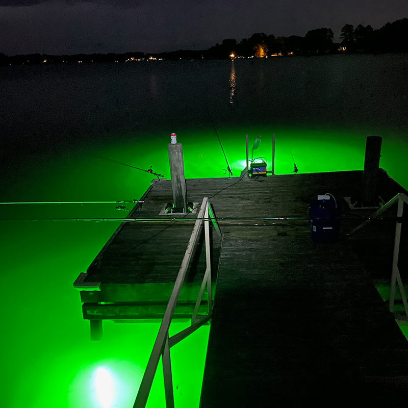 AHQ INSIDER Lake Murray (SC) Summer 2021 Fishing Report - Updated June 24