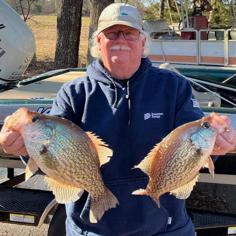 AHQ INSIDER Lake Murray (SC) 2024 Week 6 Fishing Report - Updated February 9
