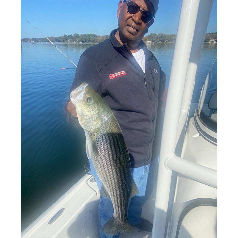 AHQ INSIDER Lake Murray (SC) 2023 Week 44 Fishing Report - Updated November 2