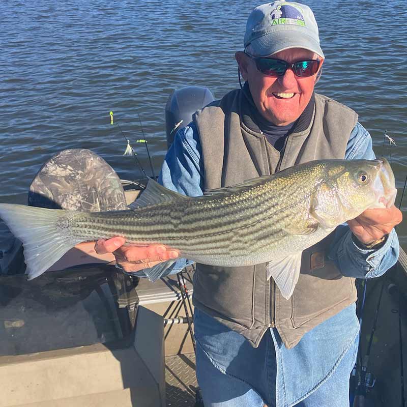 AHQ INSIDER Lake Murray (SC) 2023 Week 51 Fishing Report - Updated December 21