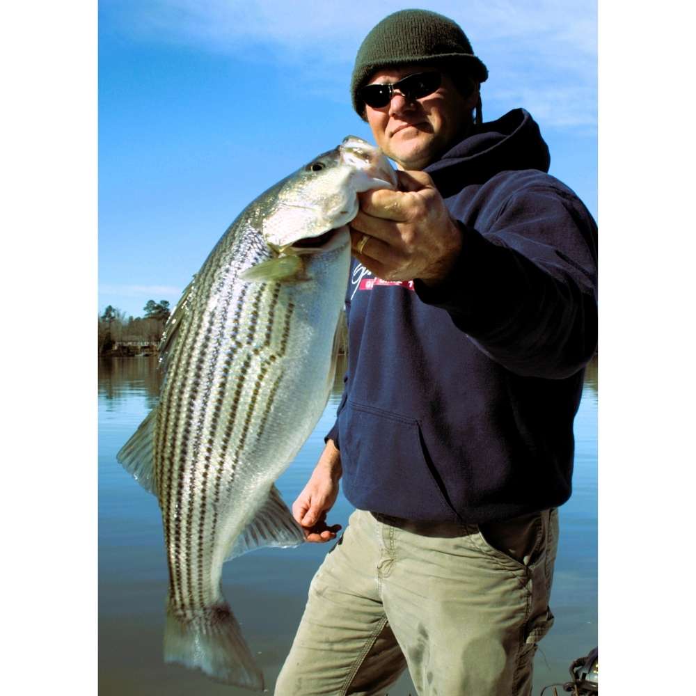 AHQ INSIDER Lake Murray (SC) May 2026 Fishing Forecast and Report – Updated May 5