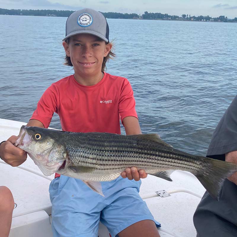 AHQ INSIDER Lake Murray (SC) Summer 2020 Fishing Report - Updated July 29