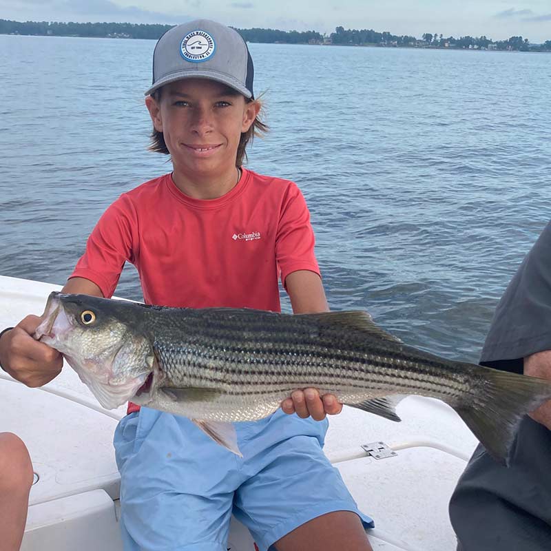 AHQ INSIDER Lake Murray (SC) Summer 2020 Fishing Report - Updated July 29