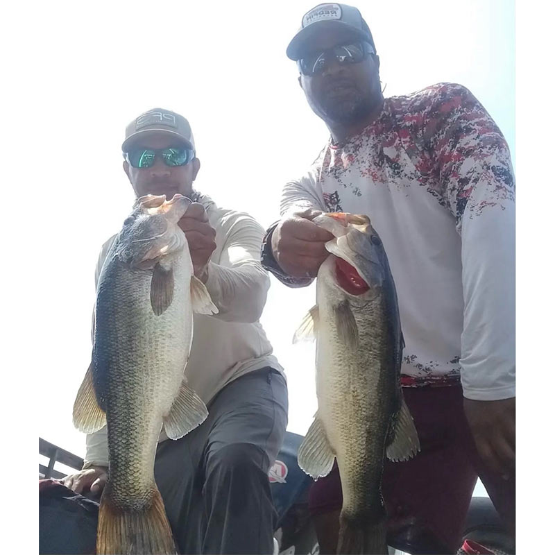 AHQ INSIDER Lake Murray (SC) 2023 Week 36 Fishing Report - Updated September 8
