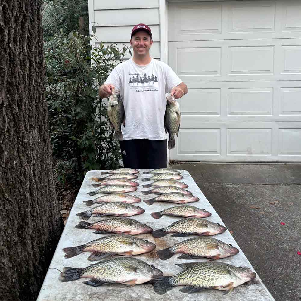 Like all blind squirrels, the author finds an acorn every now and then