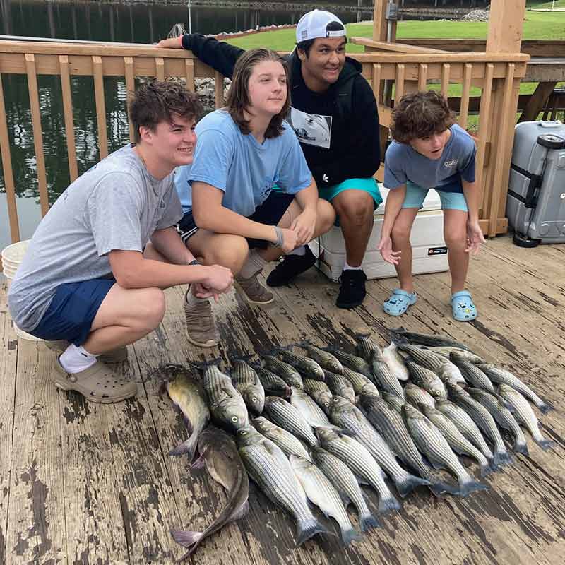AHQ INSIDER Lake Murray (SC) Fall 2021 Fishing Report - Updated October 7