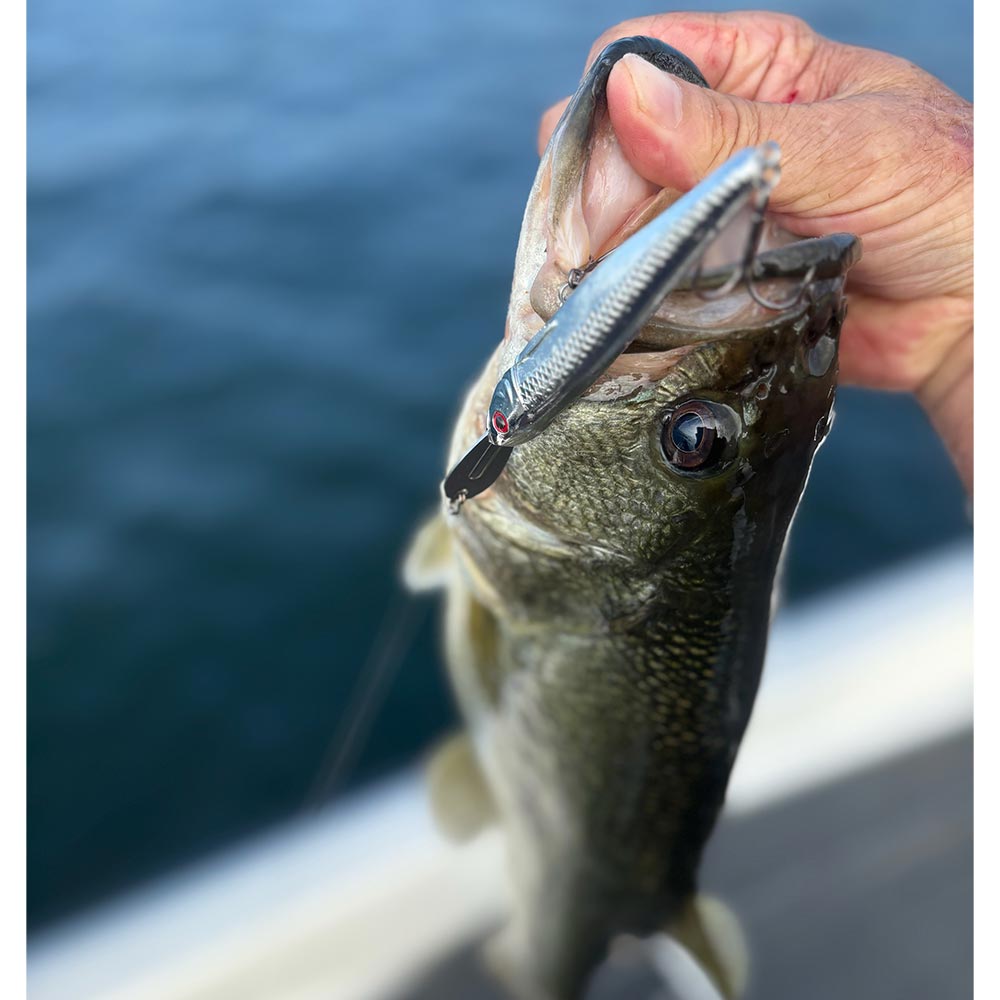 Stan Gunter shows off a favorite bait