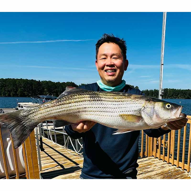 AHQ INSIDER Lake Murray (SC) 2023 Week 33 Fishing Report - Updated August 18