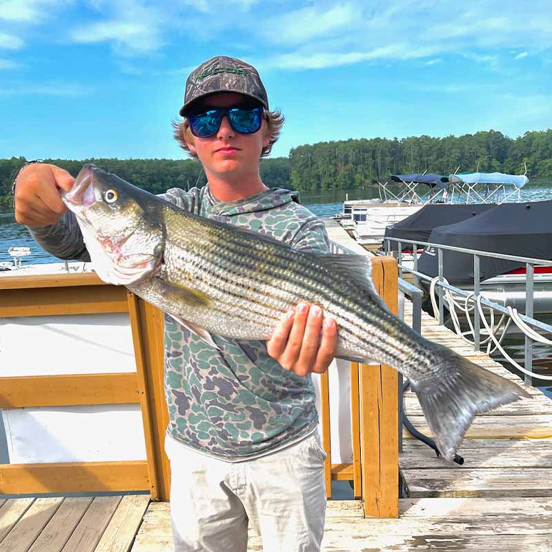 AHQ INSIDER Lake Murray (SC) 2023 Week 30 Fishing Report - Updated July 27