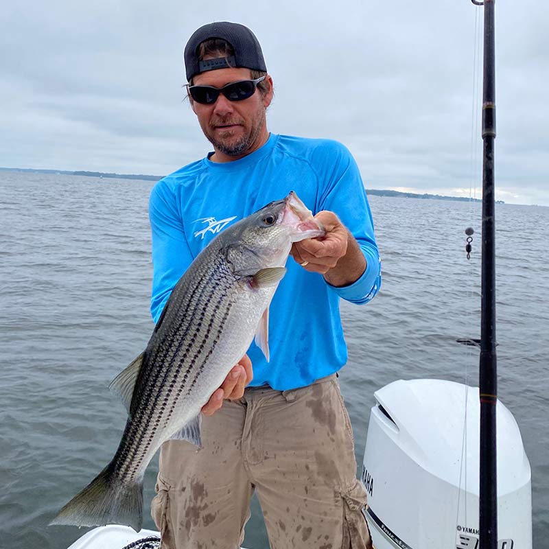 AHQ INSIDER Lake Murray (SC) Spring 2020 Fishing Report - Updated June 2