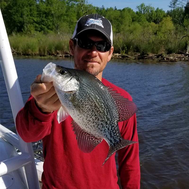 AHQ INSIDER Lake Murray (SC) Spring 2020 Fishing Report - Updated May 12