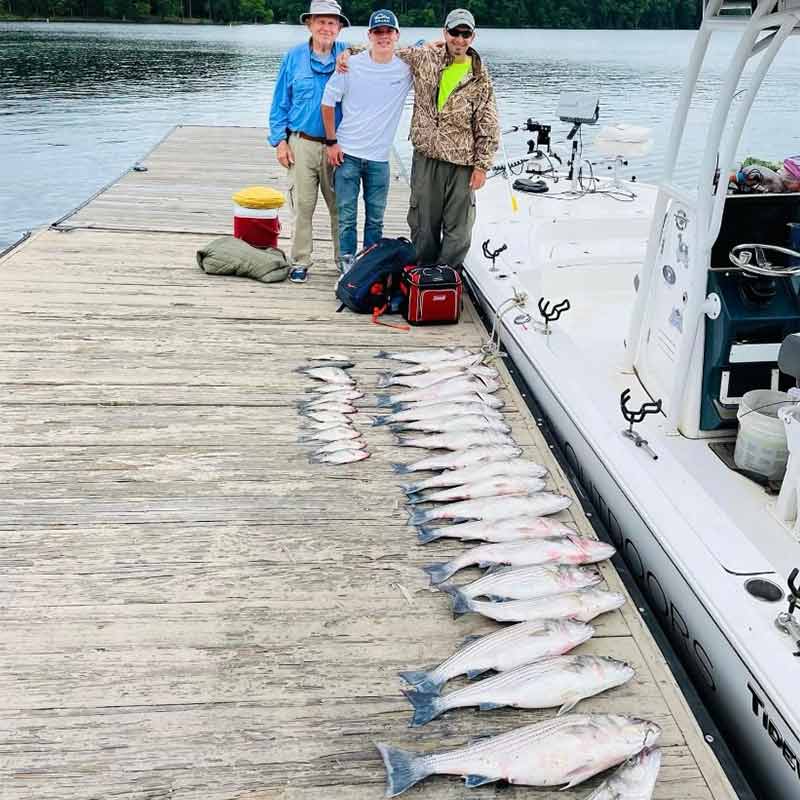 AHQ INSIDER Lake Murray (SC) 2023 Week 50 Fishing Report - Updated December 14