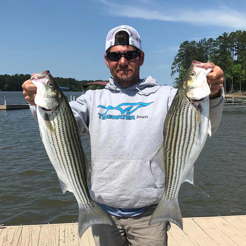AHQ INSIDER Lake Murray (SC) Spring 2020 Fishing Report - Updated April 15