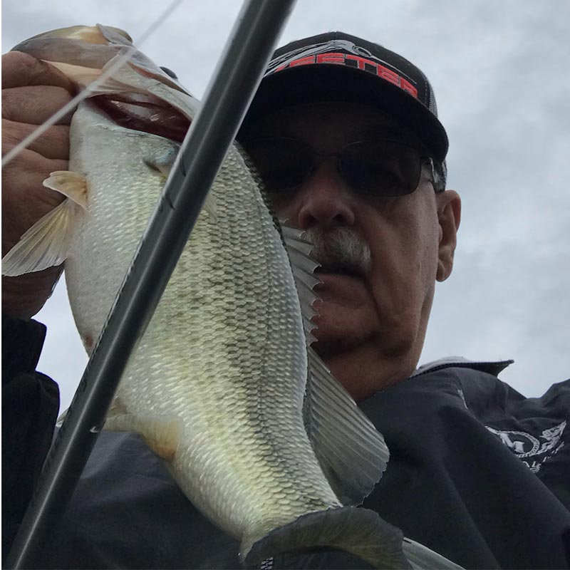 AHQ INSIDER Lake Murray (SC) 2023 Week 46 Fishing Report - Updated November 16