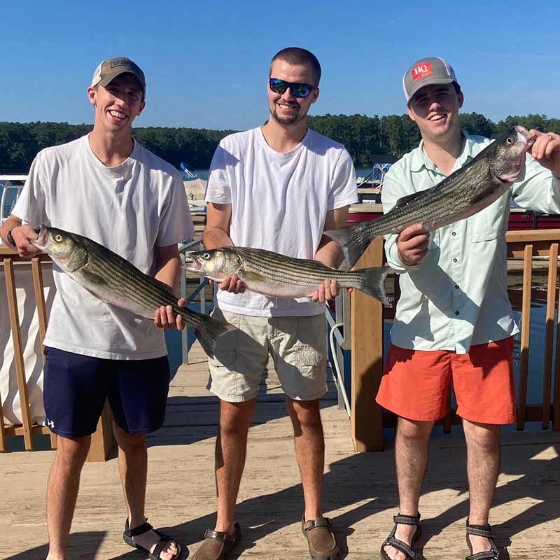 AHQ INSIDER Lake Murray (SC) Fall 2021 Fishing Report - Updated September 16