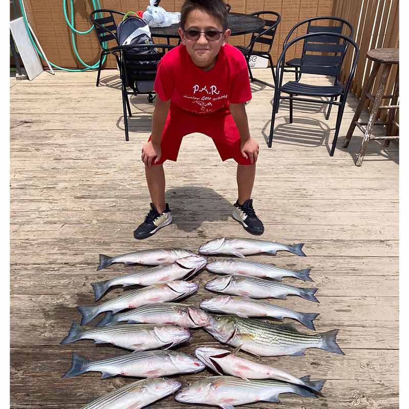 AHQ INSIDER Lake Murray (SC) 2022 Week 31 Fishing Report - Updated August 3