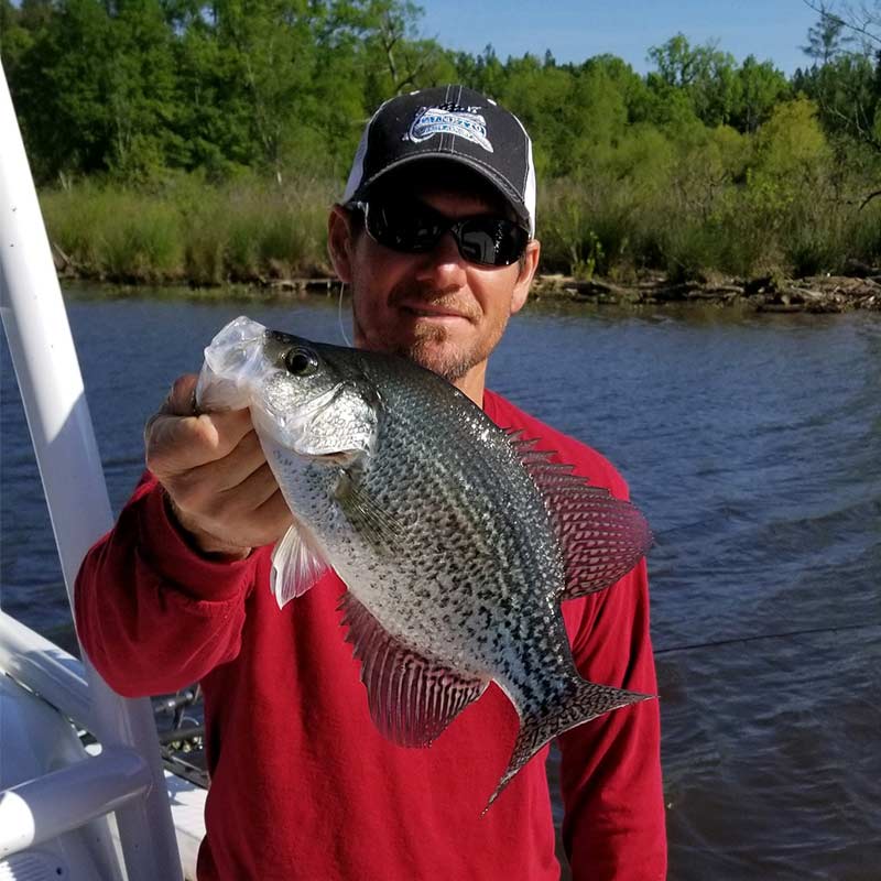 AHQ INSIDER Lake Murray (SC) Fall 2020 Fishing Report - Updated October 21