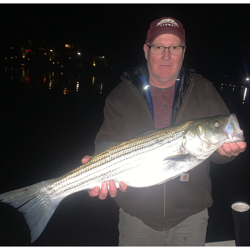 The night bite around lights has been good this week, too!