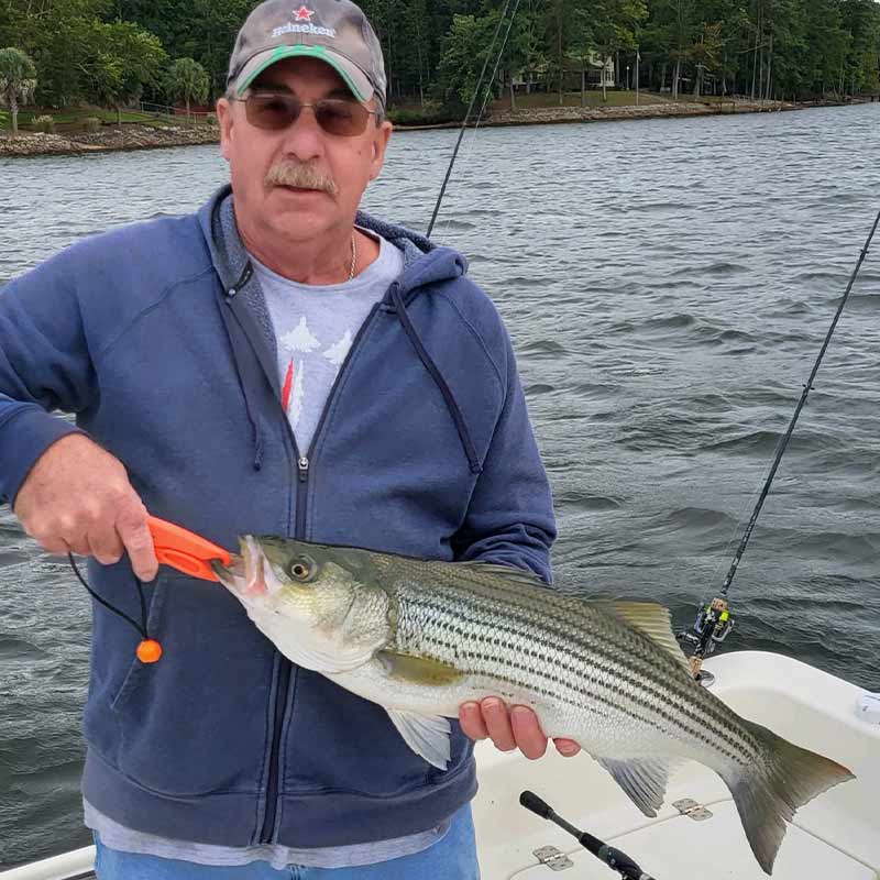 AHQ INSIDER Lake Murray (SC) 2023 Week 39 Fishing Report - Updated September 28