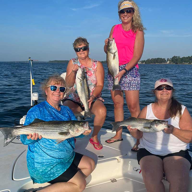 AHQ INSIDER Lake Murray (SC) 2023 Week 34 Fishing Report - Updated August 24