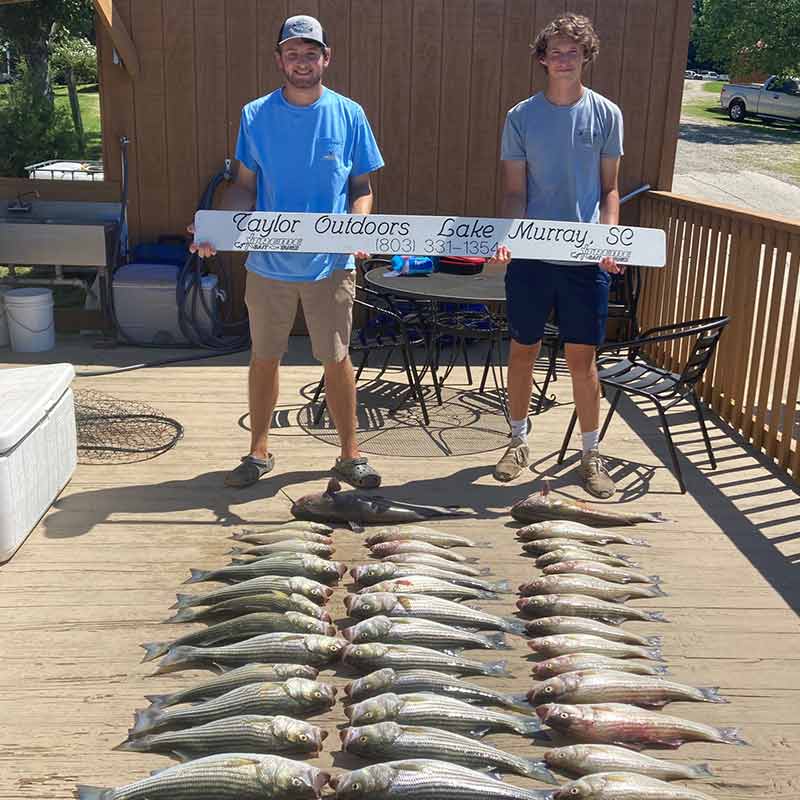 AHQ INSIDER Lake Murray (SC) Summer 2020 Fishing Report - Updated August 26