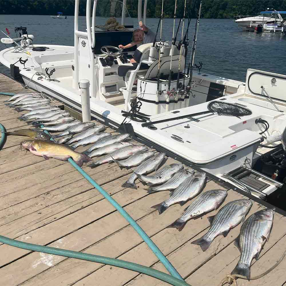 A good day with Taylor Outdoors