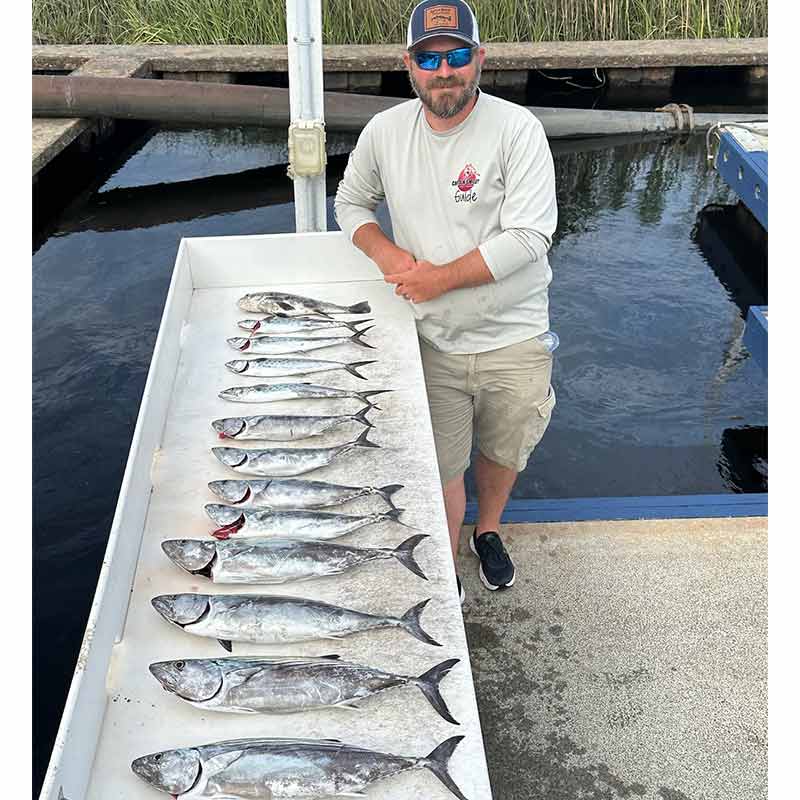 Still prime time for bonito - with Captain Smiley Fishing Charters