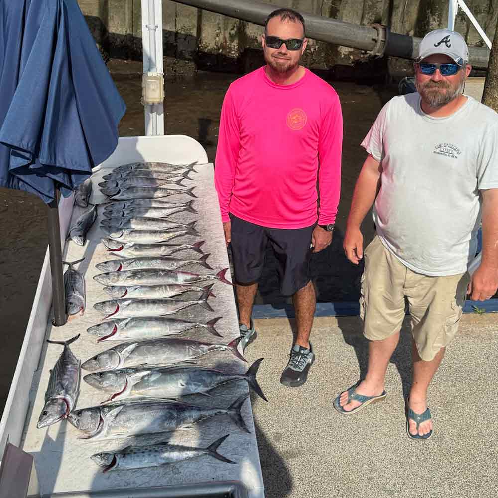 A banner day for bonito with Captain Smiley Fishing Charters