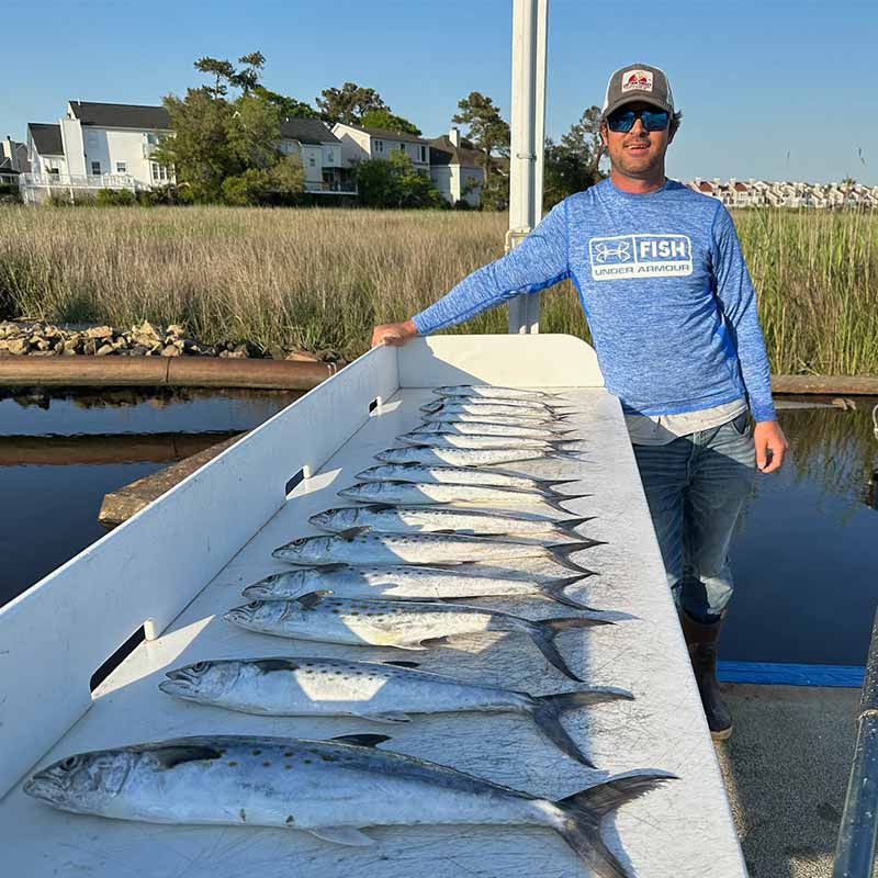 AHQ INSIDER North Myrtle Beach (North Grand Strand, SC) 2023 Week 16 Fishing Report – Updated April 21