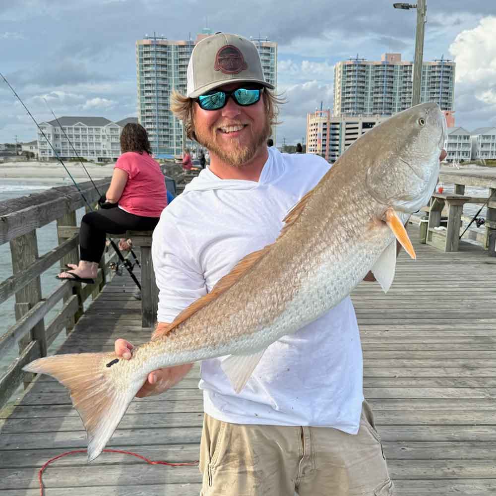 A hefty red drum caught off Cherry Grove Pier 