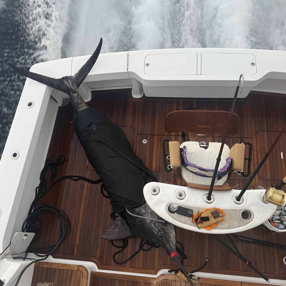 Captain Buddy Love's view yesterday