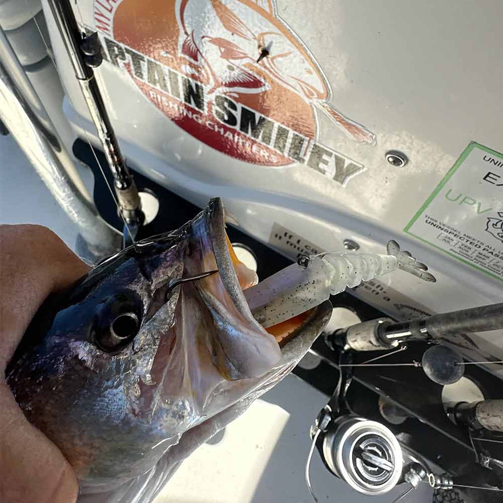 Did we say they will take artificials? 