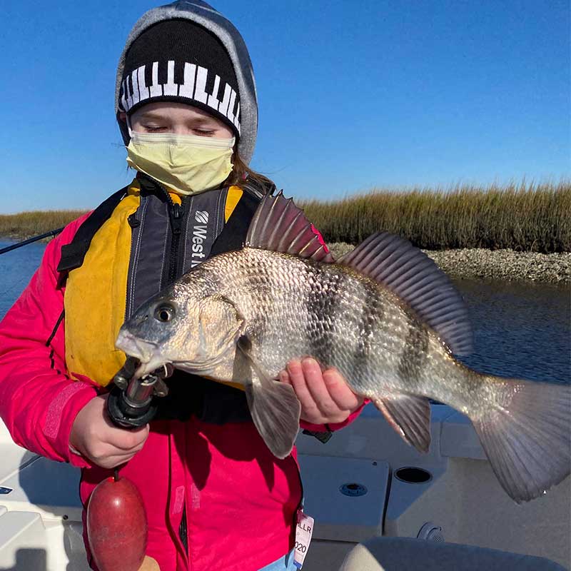 AHQ INSIDER North Grand Strand (SC) Fall 2020 Fishing Report – Updated December 20
