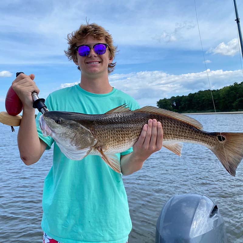 AHQ INSIDER North Grand Strand (SC) Summer 2020 Fishing Report – Updated June 30