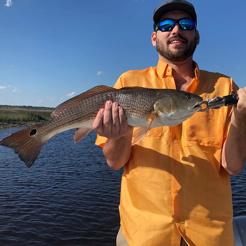 AHQ INSIDER North Grand Strand (SC) Spring 2020 Fishing Report – Updated April 15