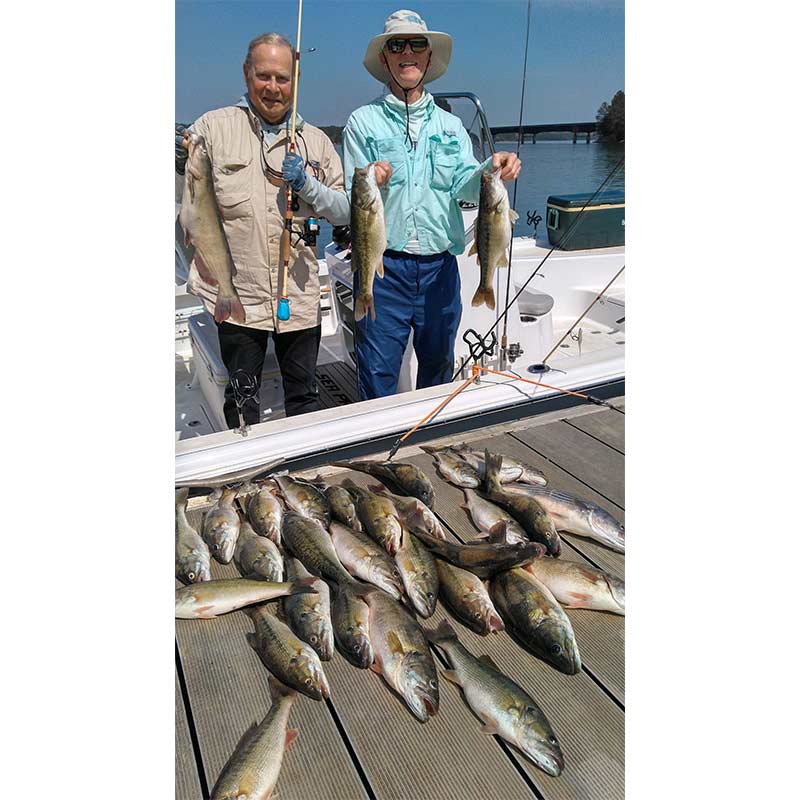 AHQ INSIDER Lake Russell (GA/SC) 2022 Week 14 Fishing Report – Updated April 8