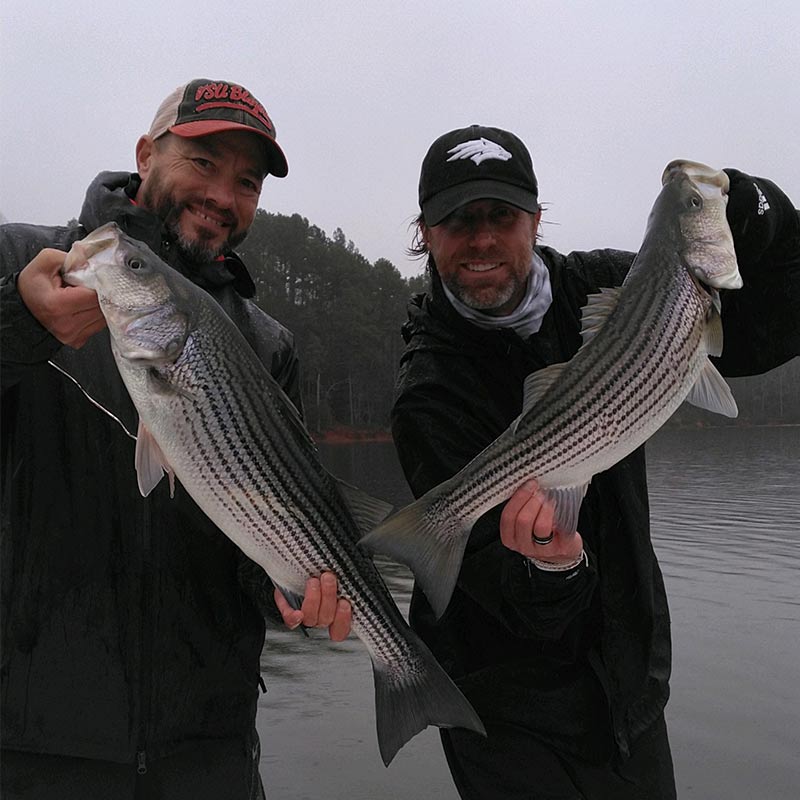 AHQ INSIDER Lake Russell (GA/SC) Spring 2021 Fishing Report – Updated January 13