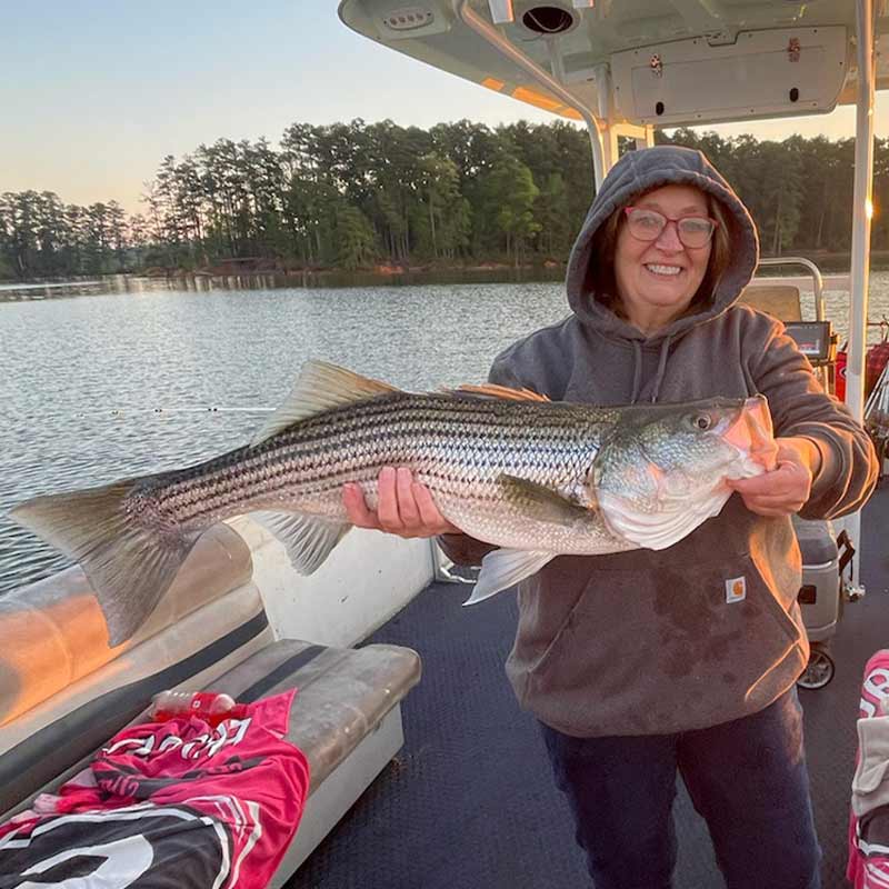 AHQ INSIDER Clarks Hill (GA/SC) 2023 Week 13 Fishing Report – Updated March 30