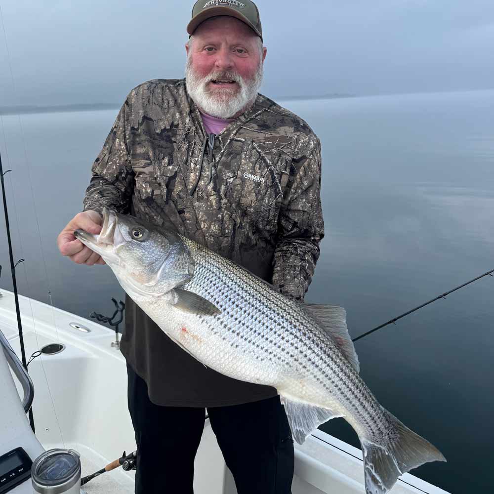 AHQ INSIDER Lake Russell (GA/SC) 2026 Week 5 Fishing Report – Updated January 29